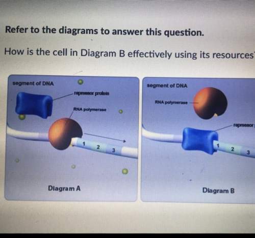 How is the cell in diagram b effectively using its resources?  a) the cell continually p