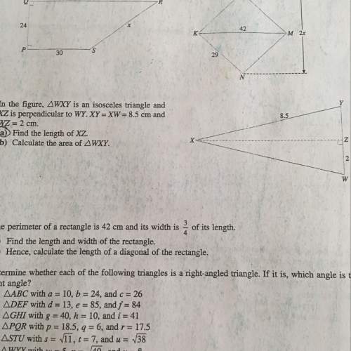 Ineed with a (the circled one) tha asks find the length of xz