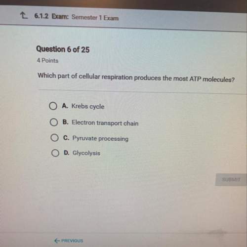 Which part of cellular respiration produces the atp molecules
