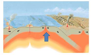 (needed ! )based upon the mechanics of mantle convection, which feature will most likely be formed a