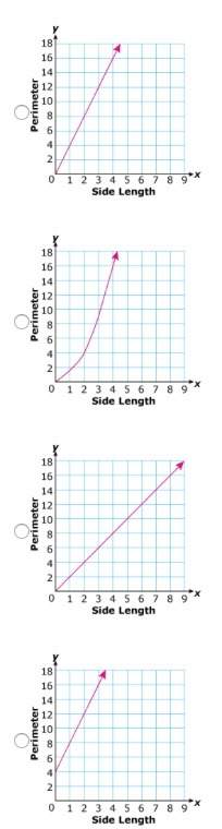 Which graph best shows the relationship between the length of one side of a square and its perimeter