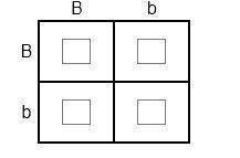 An incomplete punnett square is shown below. complete the punnett square by typing the correct combi