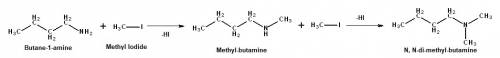 What happens in this reaction?   butan-1-amine + ch3i -->
