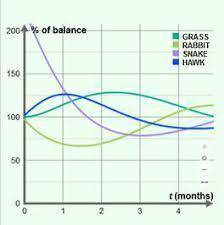 What most likely caused the rabbit population to decrease over the first time unit shown in the foll