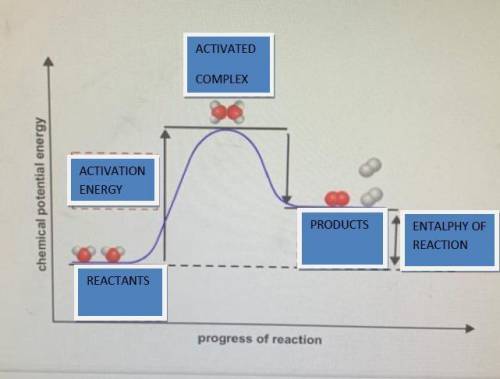 The potential energy diagram shows the gain and loss of potential energy as water molecules decompos
