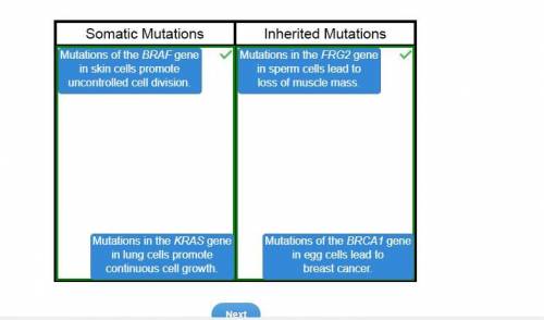 Classify the mutations as somatic or inherited  - mutations of the braf gene in skin cells promote u