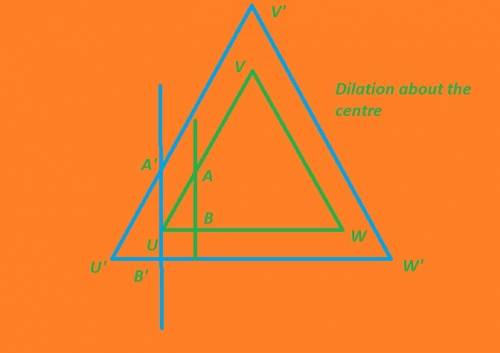 Triangle uvw is shown below with line ab passing through points a and b:  triangle uvw is shown with