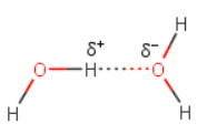 What type of intermolecular force is responsible for the unusual boiling point of h2o at standard pr