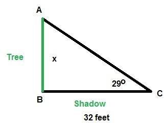 The angle of elevation of the sun (the angle the rays of sunlight make with the flat ground) at 10: