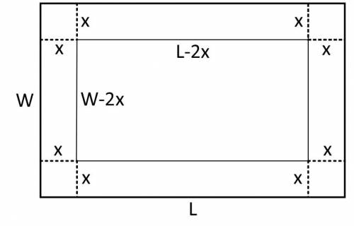 Squares with sides of length x are cut out of each corner of a rectangular piece of cardboard measur