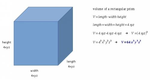 Find the volume of a cube if an edge has length 4xyz units