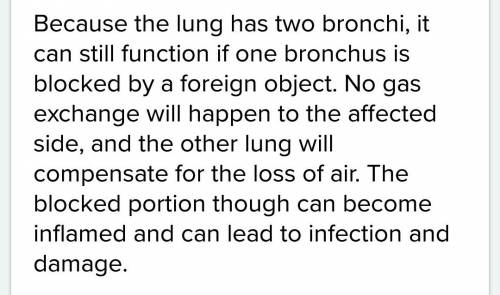 Draw arrows showing the direction of airflow into the lungs. how would an object blocking a bronchus