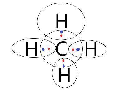 Carbon has 4 electrons and hydrogen has 1 electron in its outermost electron shell. a carbon atom ca