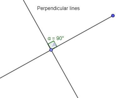 9. what are two straight lines that cross each other at a right angle?   a. curved b. parallel c. pe
