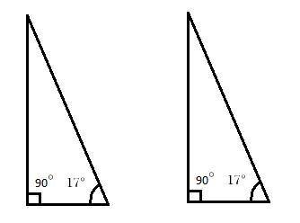 Explain why two right triangles, each with an acute angle of 17°, must be similar.
