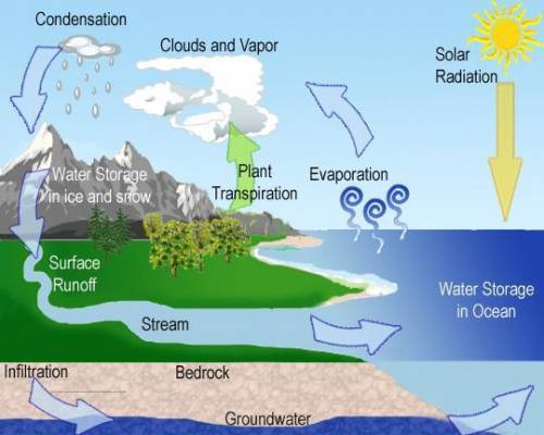 How does water get from the atmosphere into the groundwater system?  a. water from the ocean is suck