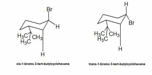 Which stereoisomer ― cis− or trans−1−bromo−3−tert−butylcyclohexane ― will react faster in an e2 elim