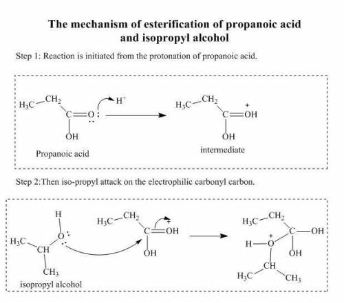 Select the ester that is formed when propanoic acid reacts with isopropyl alcohol (propan-2-ol) in t