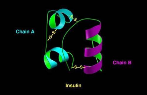 Insulin is an important hormone that allows the body to use glucose from food. after an individual e