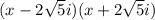 (x-2\sqrt{5}i )(x+2\sqrt{5}i )