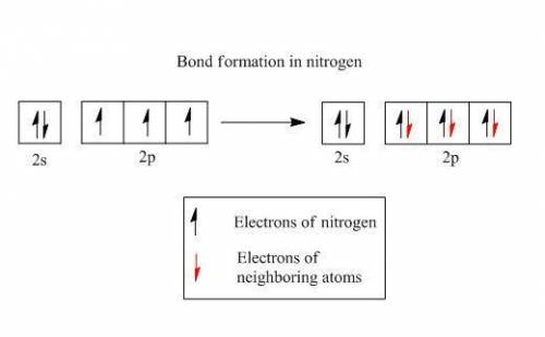How many covalent bonds does nitrogen form if each of its unpaired electrons participate in one bond
