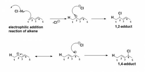 Give the structures of both 1,2 and 1,4 adducts resulting from reaction of 1 equivalent of hcl with