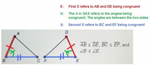 Which of the following statements is true?   1) the triangles are congruent by the asa congruence po