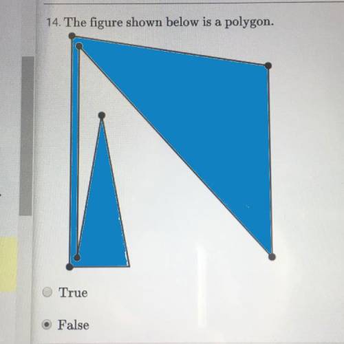 14  is this shape a polygon?
