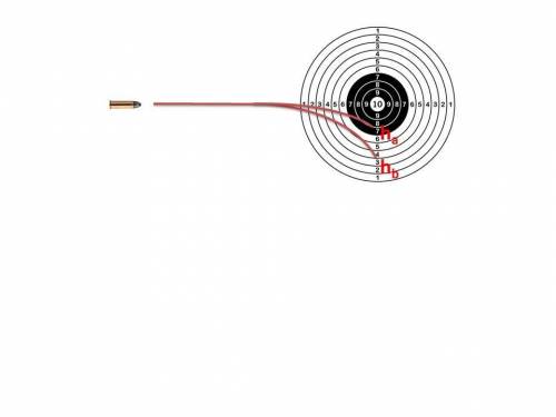 Arifle is used to shoot twice at a target, using identical cartridges. the first time, the rifle is