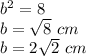 b^{2} = 8 \\b= \sqrt{8} \ cm\\b= 2\sqrt{2} \ cm
