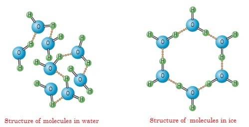 When ice melts, what happens to the water molecules?