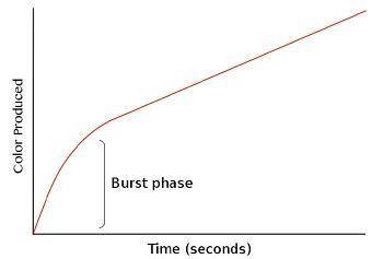 Kinetics of chymotrypsin shows a biphasic pattern;  the burst phase and the steady-state phase. 一一(t