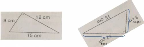 Which is the base and which is the height?