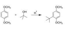 What is the relative position between a methoxy group and a tert-butyl group in the product (ortho/m