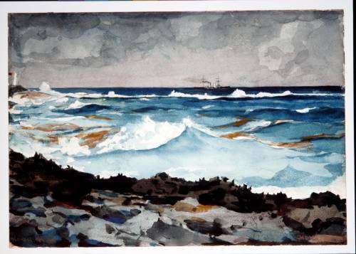 Winslow homer’s, shore and surf (above), is an example of how artists take elements from the environ