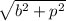 \sqrt {b^2 + p^2}