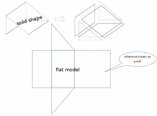 Aflat model that can be folded to make a solid shape is called