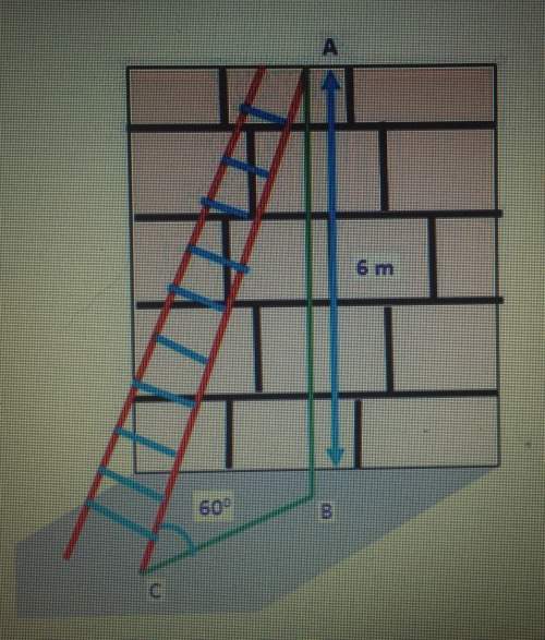 How many meters is in the foot of the ladder from the wall? round only your final answer to the nea