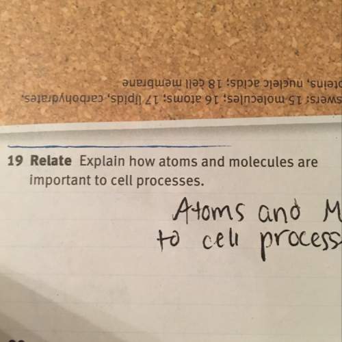 Explain how atoms and molecules are important to cell processes