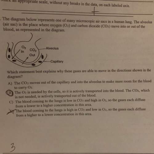 Can someone explain to me why the answer is d? you so so much!
