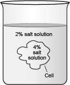 The diagram below shows a cell placed in a solution.(image of a jar filled w