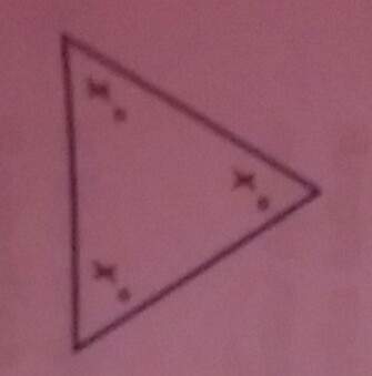 Find the value of x in this triangle.