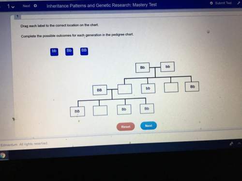 Complete the possible outcomes for each generation in the pedigree chart. bb bb bb