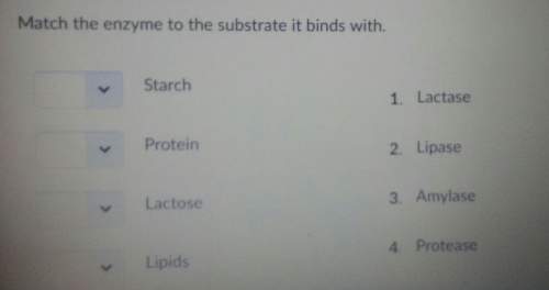 Match the enzyme to the substrate it binds with.