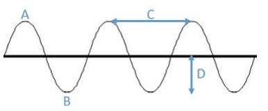 Identify the amplitude on the diagram and give the correct description. c because the wa