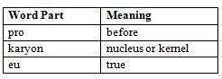 Use the following chart to find the meaning of prokaryote. a. before cells w