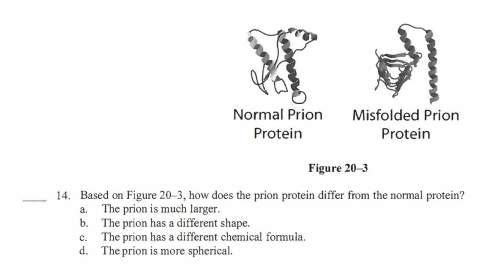 14. based on figure 20-3, how does the prion protein differ from the nonnal protein?  a. the p