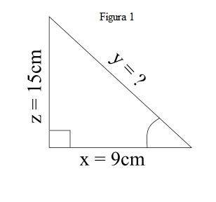 If x = 9 cm and z = 15 cm, what is the length of y?