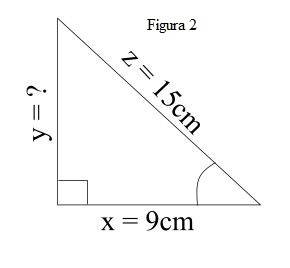If x = 9 cm and z = 15 cm, what is the length of y?