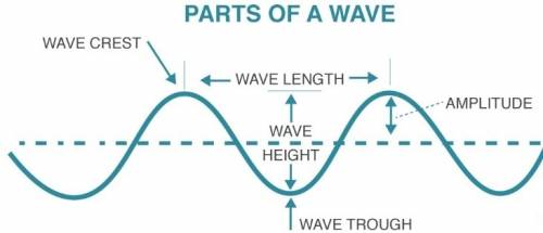 The amplitude of a wave is most directly related to what wave characteristic?  crest length frequenc